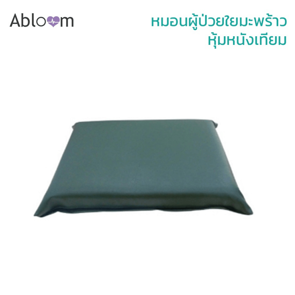 เซ็ตที่นอนและหมอน ใยมะพร้าว ABLOOM 0040085008010_7